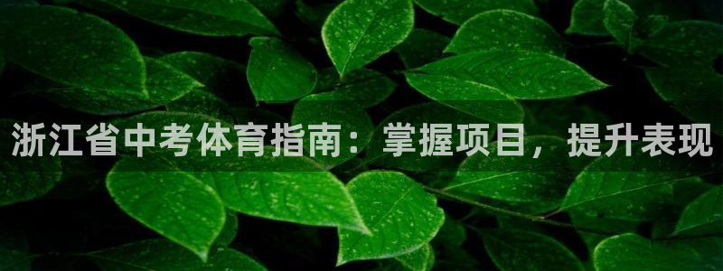 星欧娱乐官网首页下载