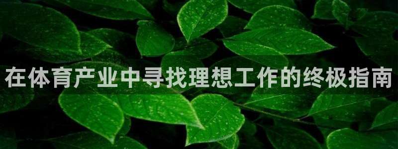 星欧娱乐彩票软件下载官网